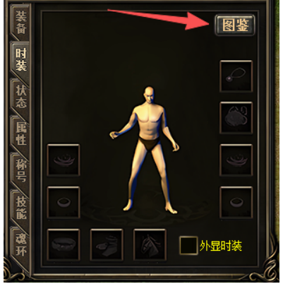 盛金大陆起步介绍